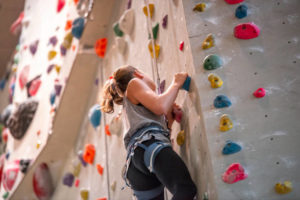 Read more about the article How Did She Get Up There?